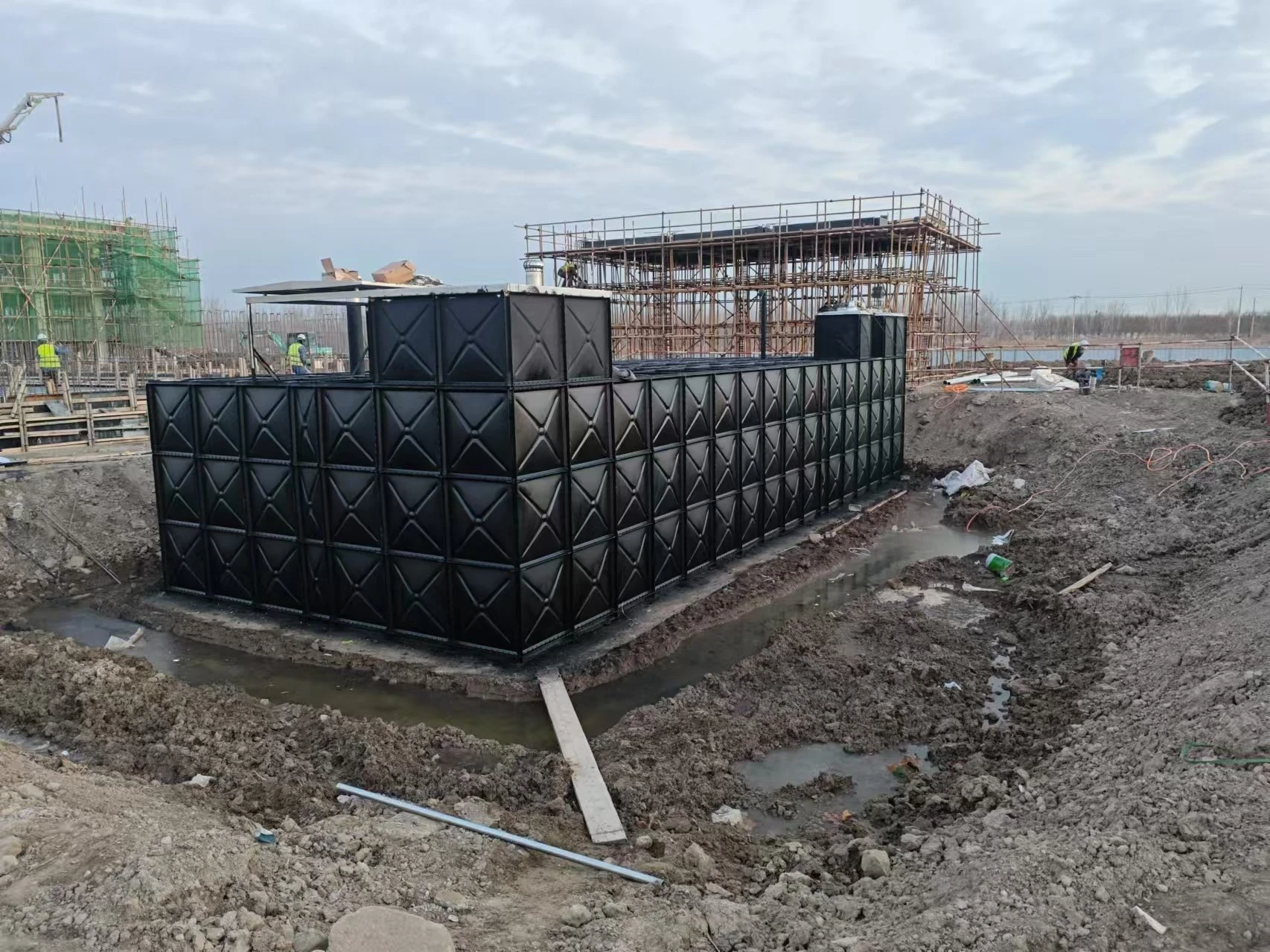 IMG_8844.JPG IMG_8844.JPG